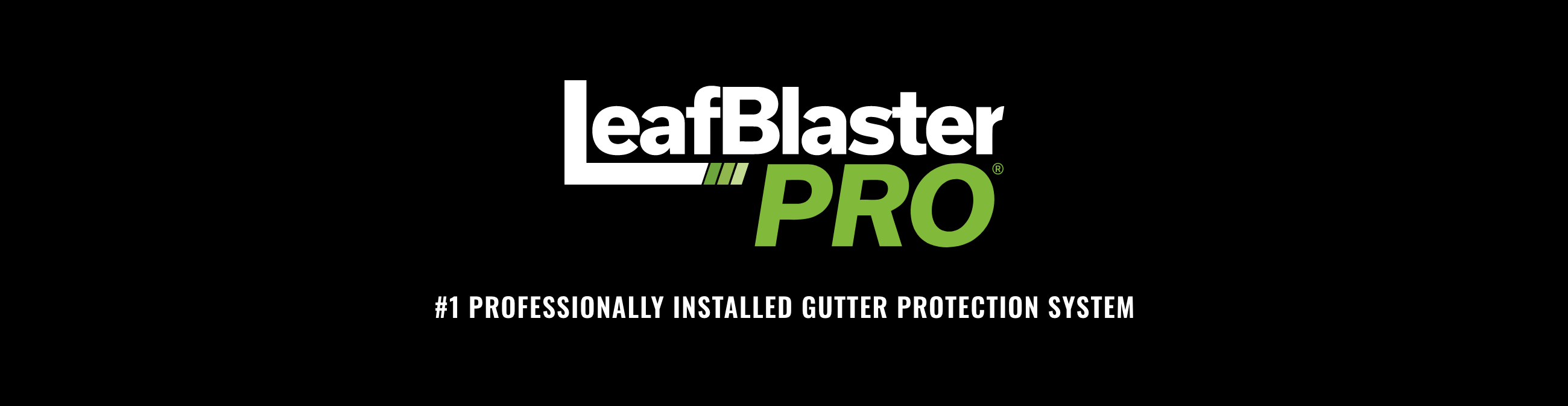 Accessories – LeafBlaster Pro
